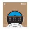 Struny D'ADDARIO Pro-Arte Nylon Core EJ46 Hard